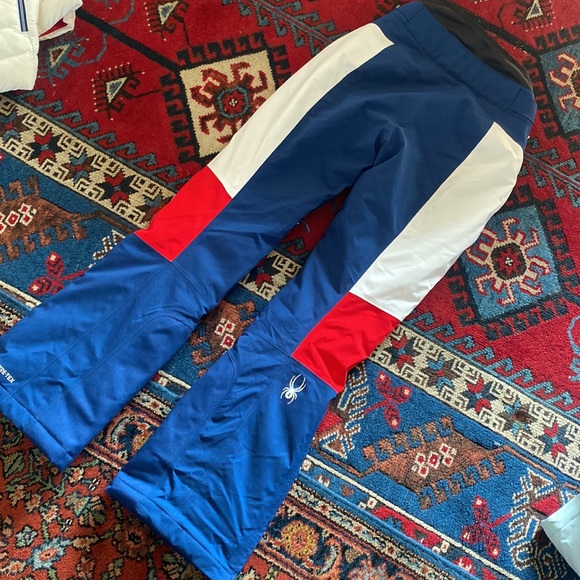 SPYDER ECHO GTX PANT US SKI TEAM SNOWBOARD SNOWPANTS GORETEX - Picture 4 of 5